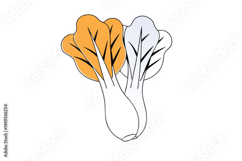 Bok Choy Vegetable Vector Illustration on White Background

