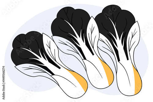 Bok Choy Vegetable Vector Illustration on White Background

