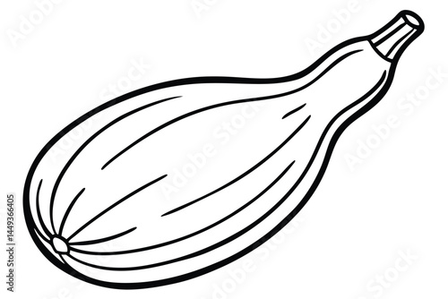 Bottle Gourd Vegetable Vector Illustration on White Background

