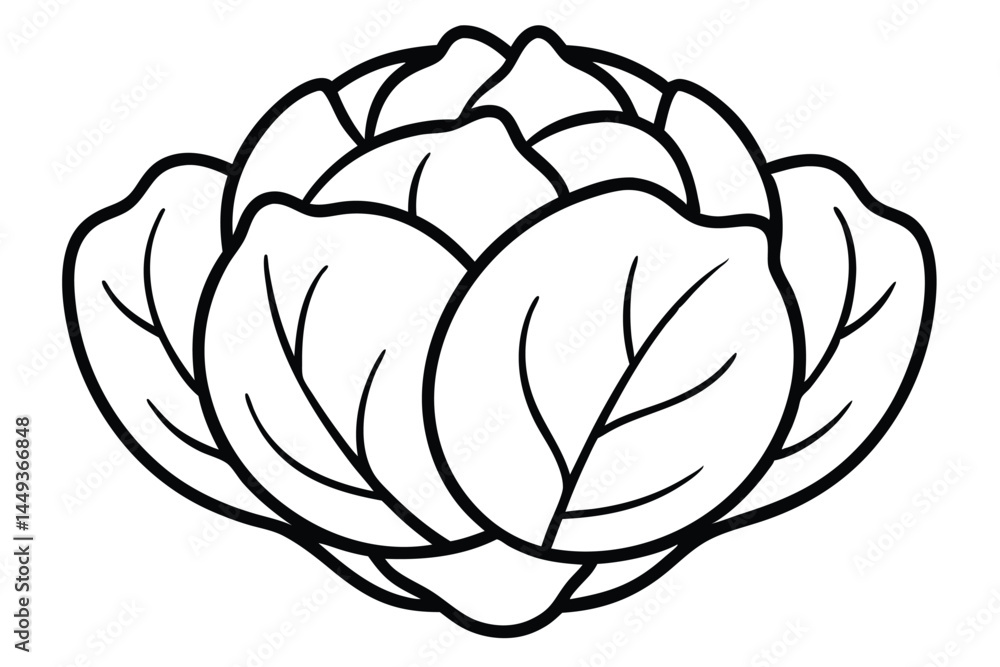 Fototapeta premium Brussels Sprouts Vegetable Vector Illustration on White Background