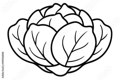 Brussels Sprouts Vegetable Vector Illustration on White Background

