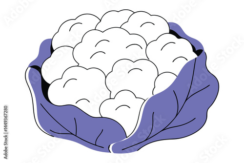 Cauliflower Vegetable Vector Illustration on White Background

