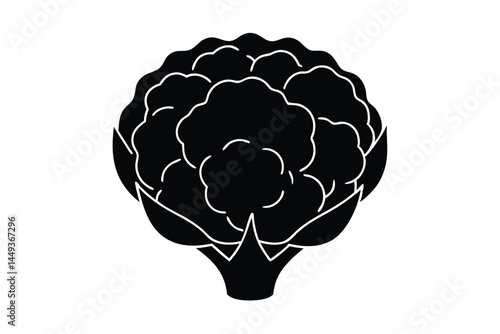 Cauliflower Vegetable Vector Illustration on White Background

