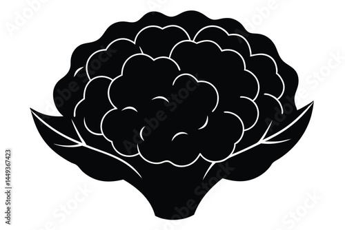 Cauliflower Vegetable Vector Illustration on White Background

