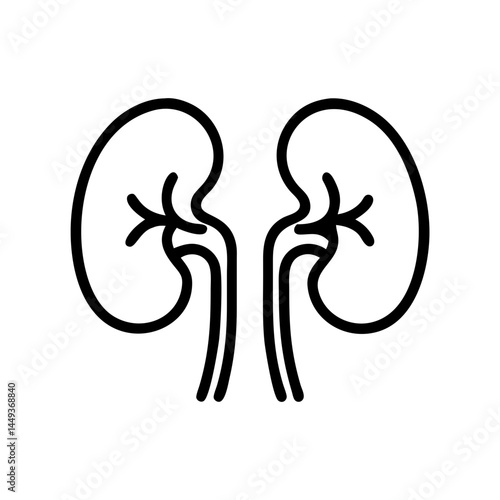 kidneys on transparent background for web and graphic design