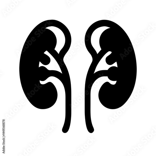 kidneys silhouette on transparent background for web and graphic design