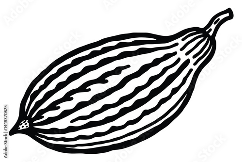 Karela Bitter Gourd Vegetable Vector Illustration Isolated on White Background

