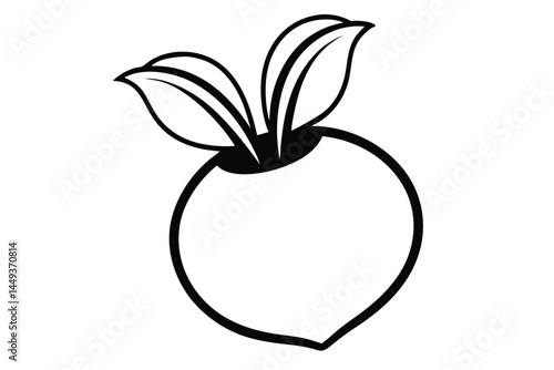 Kohlrabi Vegetable Vector Illustration Isolated on White Background
