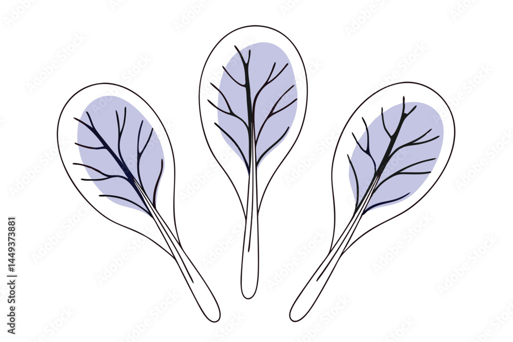 Spinach Vegetable Vector Illustration Isolated on White Background
Spinach Vegetable Vector Illustration Isolated on White Background