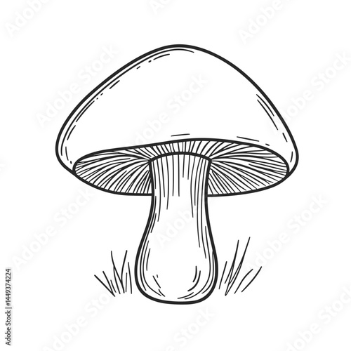 Hand-drawn mushroom illustration on grassy background  