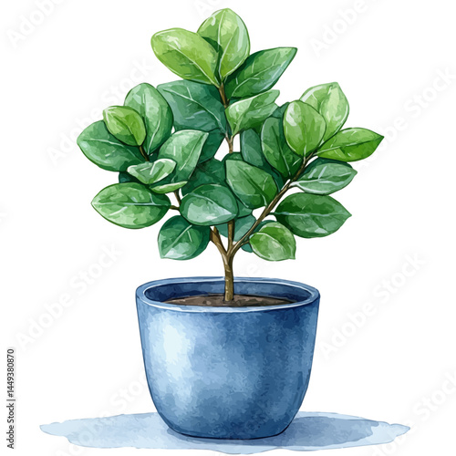 Potted Plant On A Balcony, vector watercolor illustration, isolated on a white background.