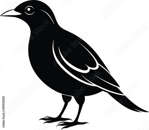 Chirping Charm Meet the Myna Bird