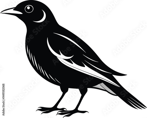 Understanding the Myna Bird A Talkative Treasure