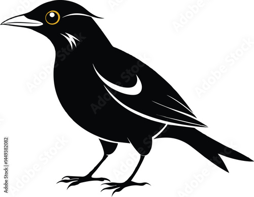 Why the Myna Bird Is Smarter Than You Think