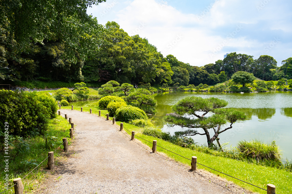 Fototapeta premium 初夏の清澄庭園