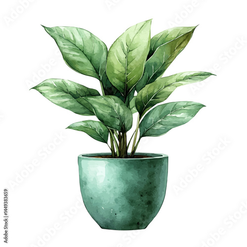 Potted Indoor Plant In A Ceramic Pot, watercolor vector, isolated on a white background.