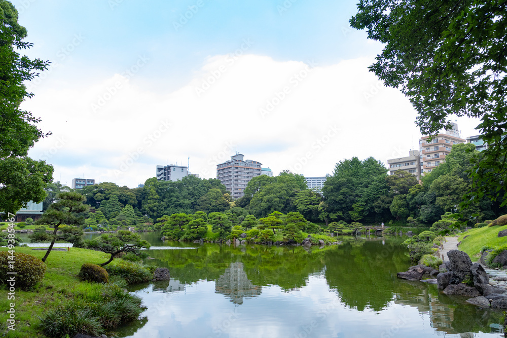 Fototapeta premium 初夏の清澄庭園