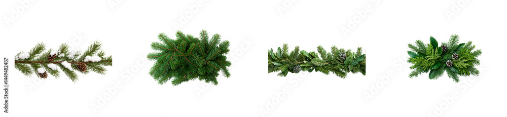 Evergreen branches assortment with pine cones arrangement. cut out transparent Evergreen branches assortment with pine cones arrangement. cut out transparent