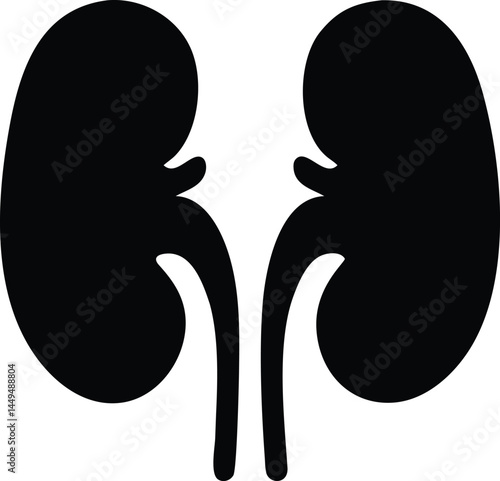 A black kidneys with smooth curves and minimal detail is presented