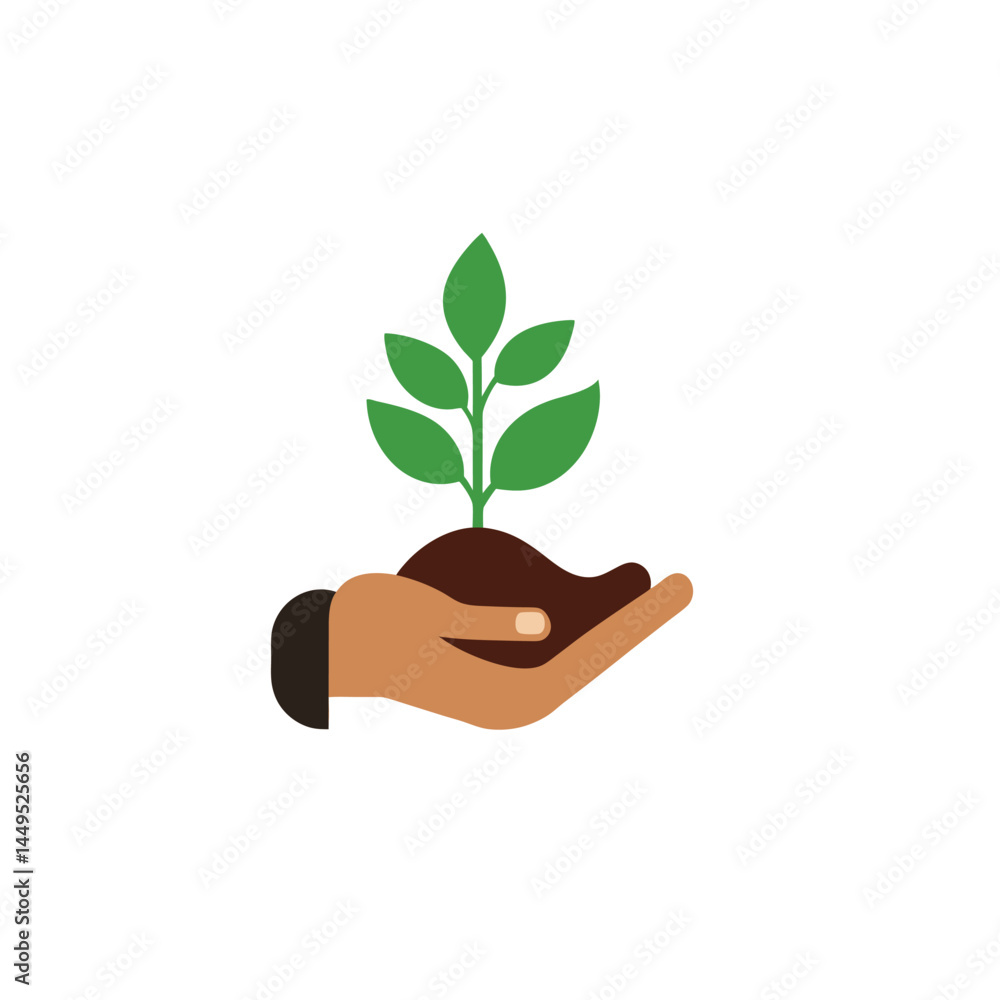 hand holding plant hand holding plant