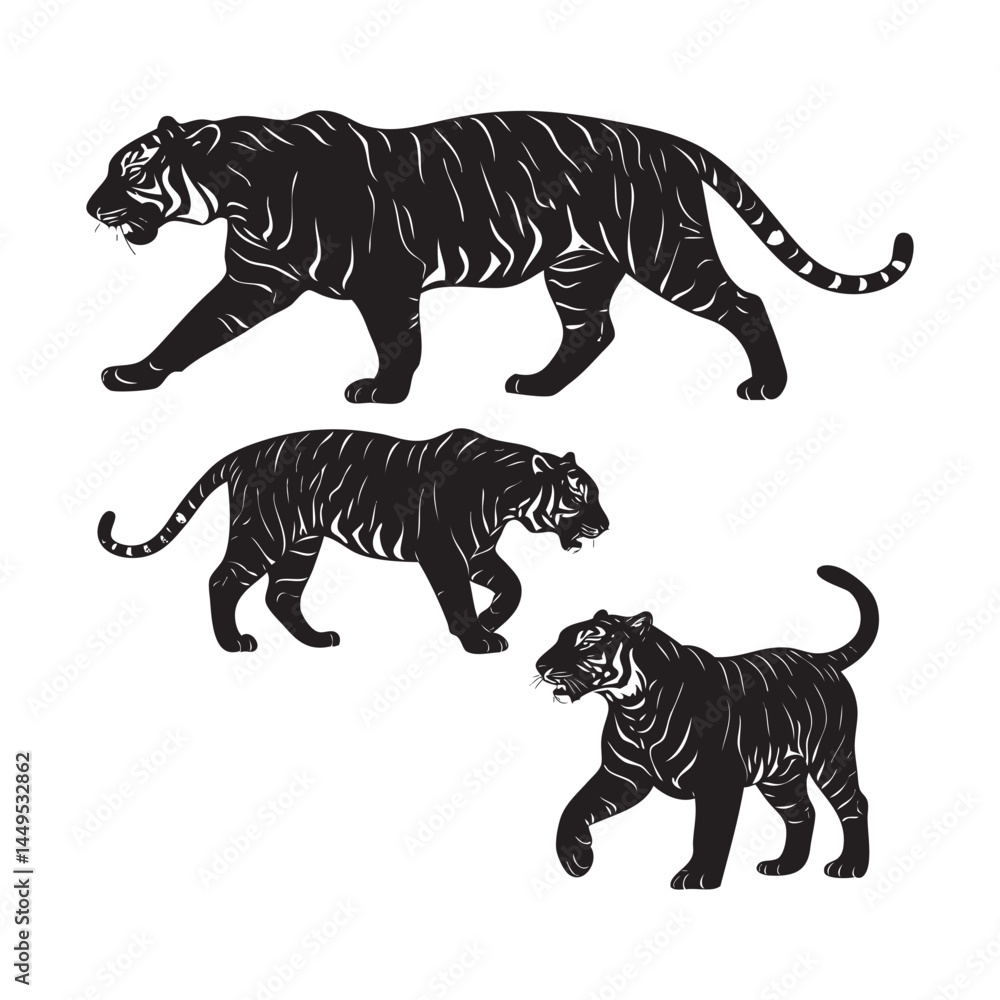 Fototapeta premium Black Tiger Vector Illustration Set