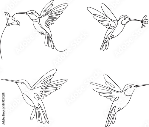Hummingbirds Outline