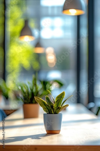 Obraz na płótnie Serene Interior with Snake Plant on Wooden Table Bathed in Soft Light and Blurred Background w salonie