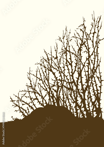 Vector drawing. The thorn bushes