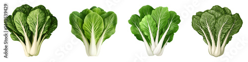 Assortment of fresh leafy green vegetables
