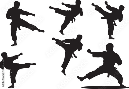 "Karate Silhouette Vector Set – Martial Arts, Fighter, Kick Pose