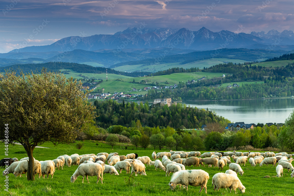 Fototapeta premium Czorsztyn Castle Overlooking Lake with Majestic Tatra Mountain Backdrop