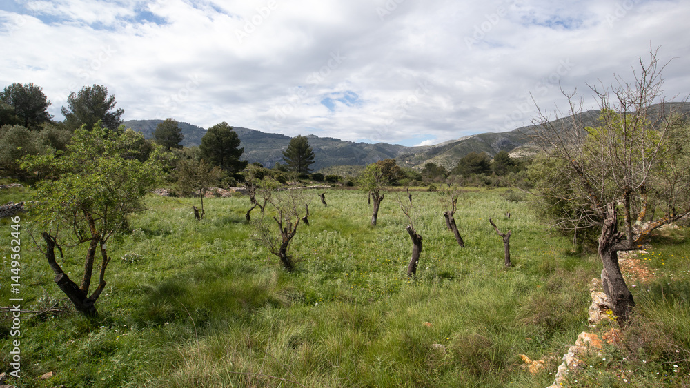 Fototapeta premium Barranco del infierno hike