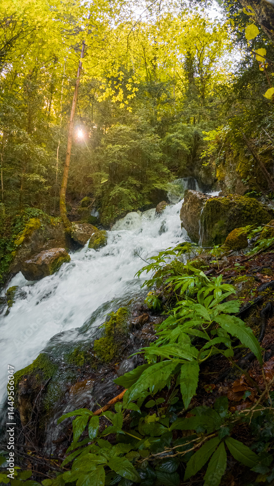 Obraz premium Crystalline spring of the Fuente de Fornos in full spring, pouring pure water into the Irués river among mixed pine and gall oak forests in the Sobrarbe region, near Aínsa, Aragonese Pyrenees. 