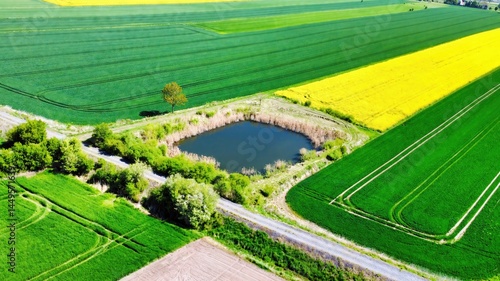 pond in the fields