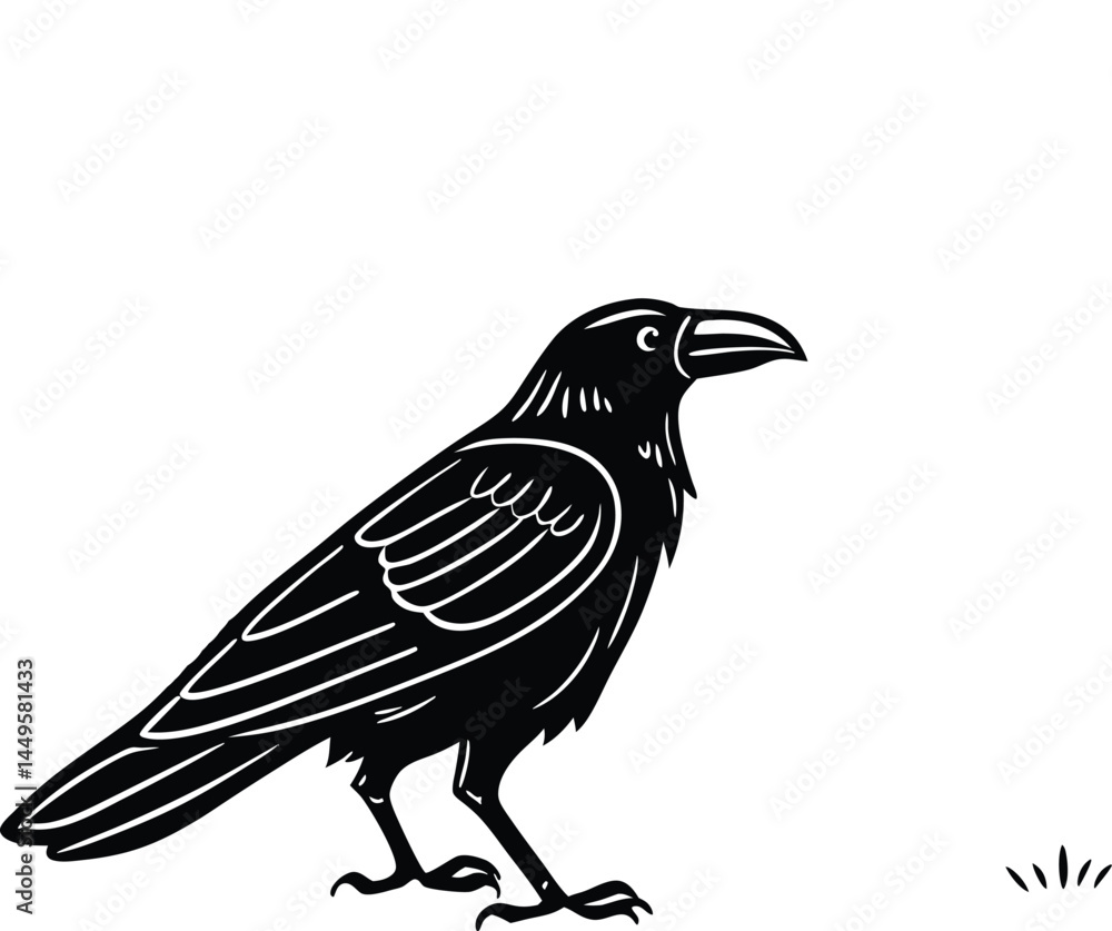 Obraz premium crow on a white background