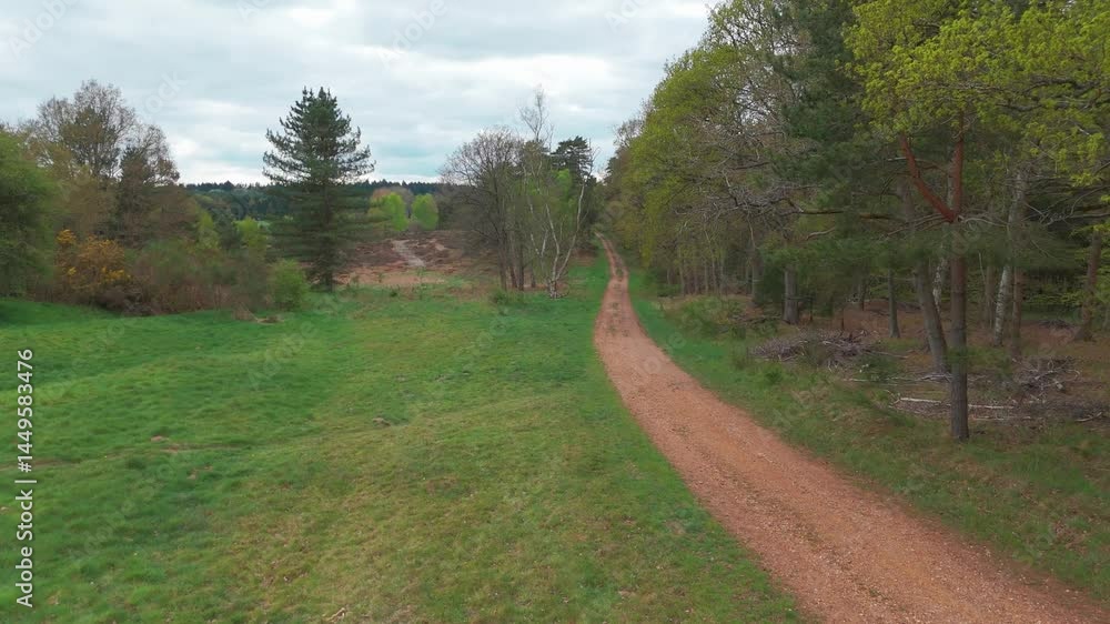 A peaceful dirt road through rural farmland in Santon Downham, showing trees and open fields A peaceful dirt road through rural farmland in Santon Downham, showing trees and open fields