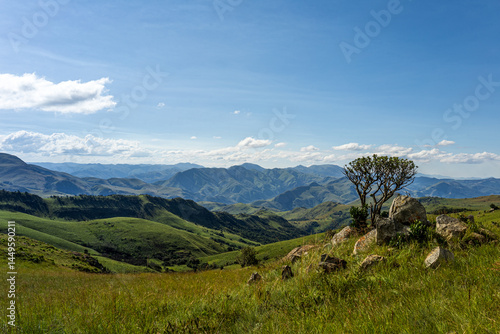grassy rolling hills of beautiful Eswatini Africa 