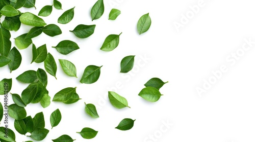 Wallpaper Mural Vibrant Green Leaves Scattered on White Background Torontodigital.ca