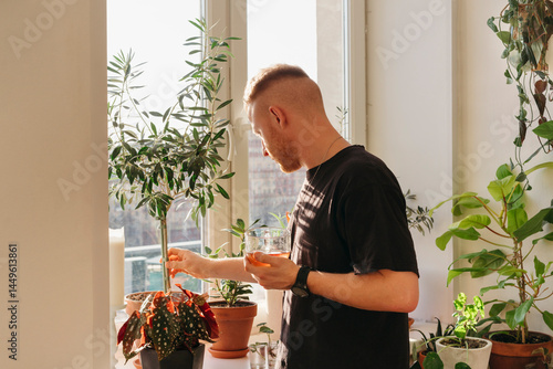 Tea Time With Sunlit Plants