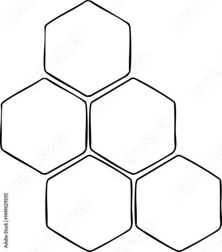 bee comb hand drawn