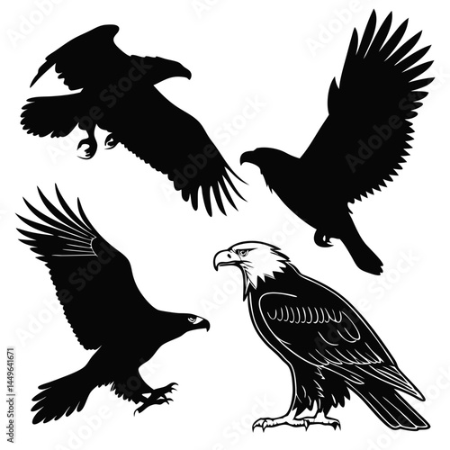 eagle in flight