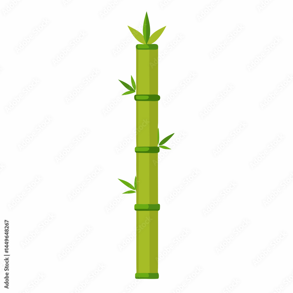 Naklejka premium bamboo isolated on white