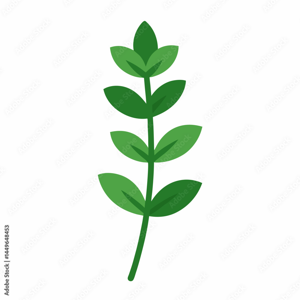 Fototapeta premium green plant isolated on white background