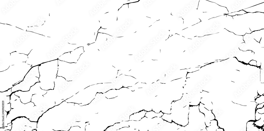 Obraz premium Closeup of dry fissure ground. White dried and cracked ground earth background.Gray crack on earth texture. erosion. 