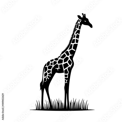 Majestic Giraffe in African Savanna: Elegant Wildlife Silhouette