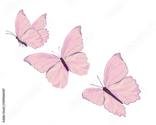 watercolor flock of pink butterfly marcus aroeilus.eps