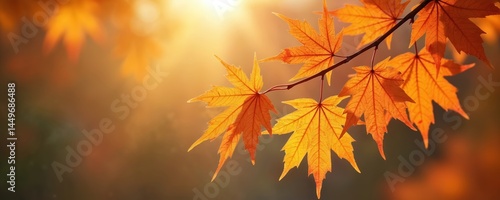 Obraz na płótnie Orange maple leaves branch. Soft focus, warm natural sunlight, sun bokeh. Autumn season concept, nature, tree, fall. Fall foliage red orange yellow colors, vibrant, peaceful atmosphere for design. w salonie