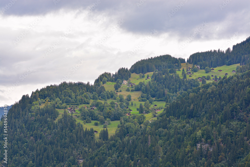 View of Grindelwald village in Switzerland. View of Grindelwald village in Switzerland.