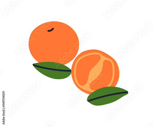 Tangerine, fresh healthy tropical fruit and leaf. Exotic natural summer food. Vitamin orange clementine citrus, whole and cut half. Flat graphic vector illustration isolated on white background
