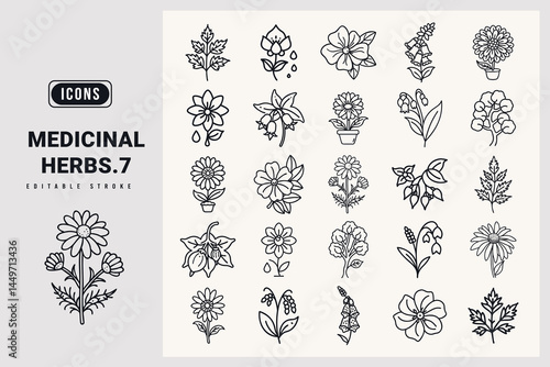 Medicinal herbs icon set. Mugwort, Blood Flower, Deadly Nightshade, Pot Marigold, Madagascar Periwinkle, Roman Chamomile, Lily-Of-The-Valley, Common Foxglove, Pale Purple Coneflower, silhouette icons.